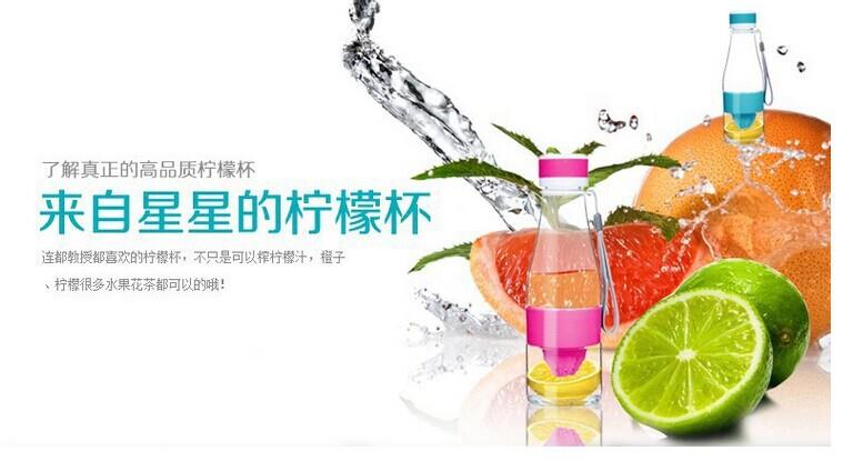 Plastic Fruit Infuser Juice Water Bottle